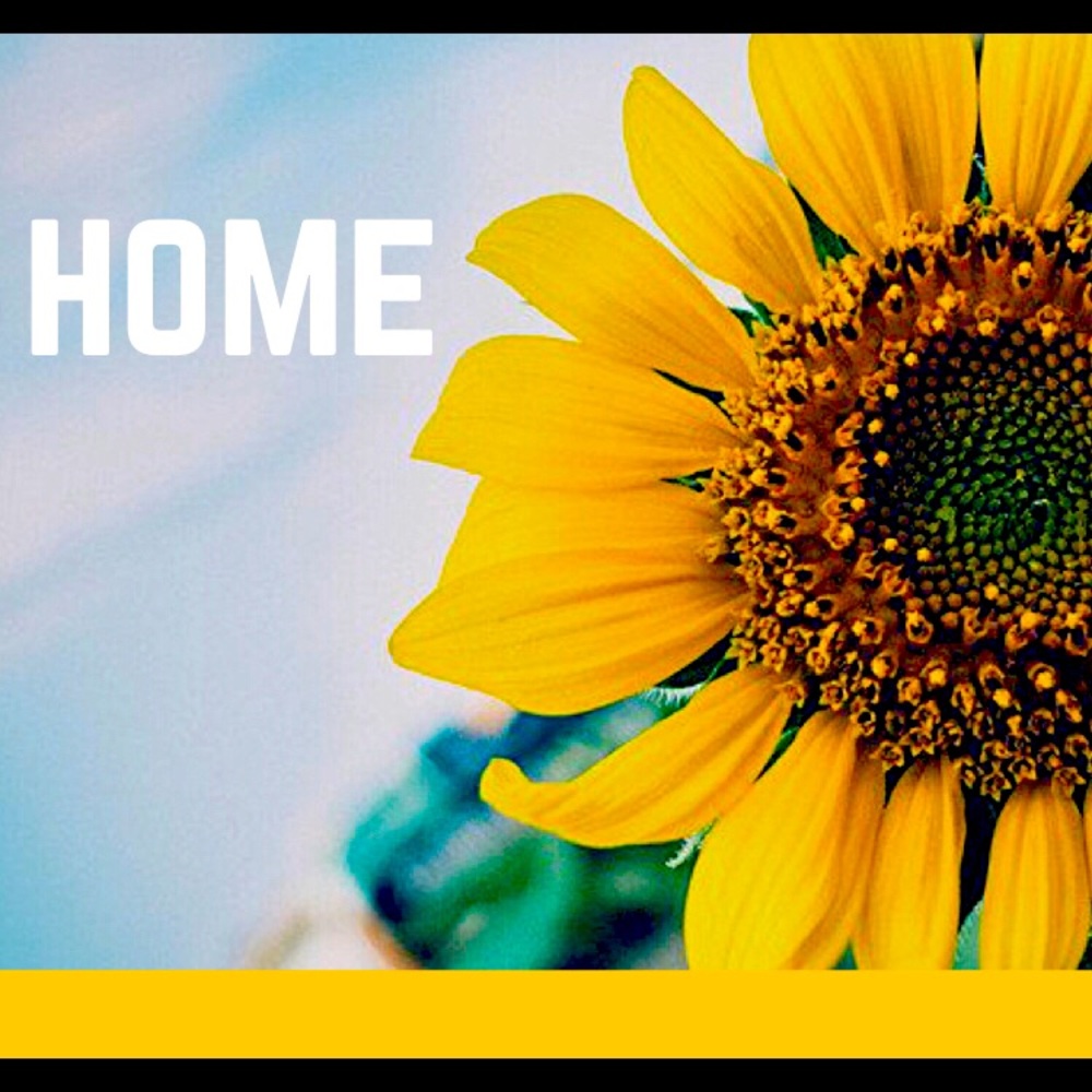 Home Section 🌻